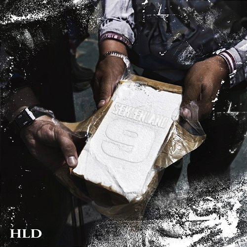Seklenland - Pt.9 HLD