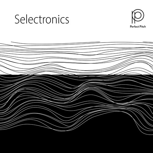 Selectronics Jochen Schmidt-Hambrock
