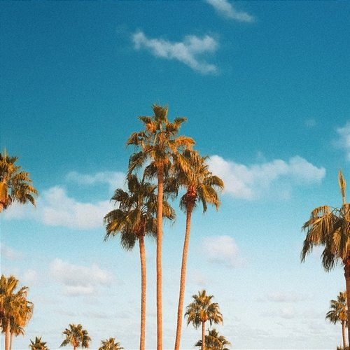 Sell the sky entoy feat. Napoleon the Wilderness