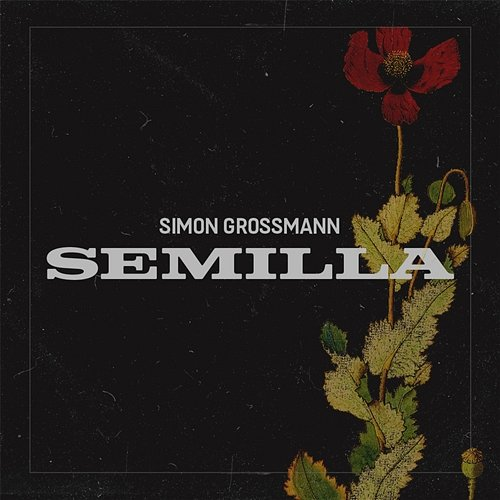 Semilla Simon Grossmann
