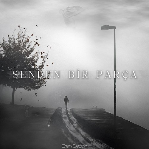 Senden Bir Parça Eren Sezgin