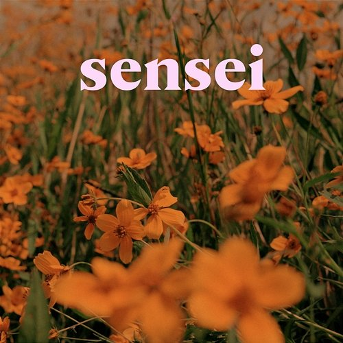 Sensei Caloncho