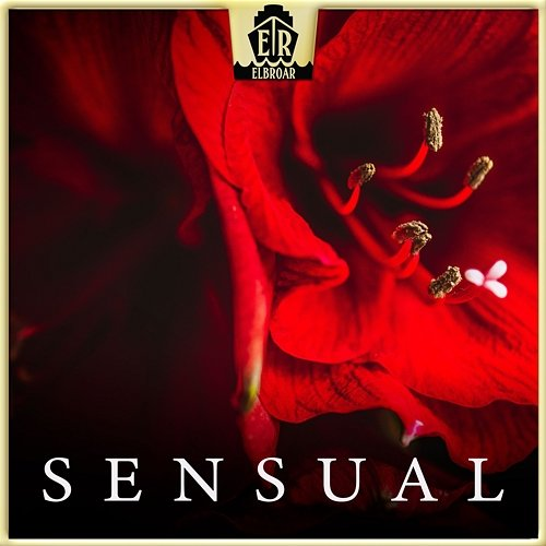 Sensual Andreas M. Resch feat. Ziggy Sullivin