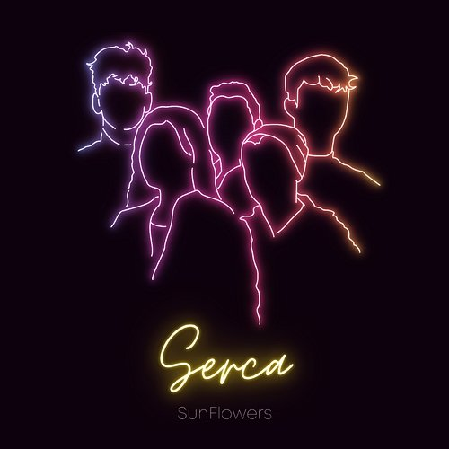 Serca Sunflowers
