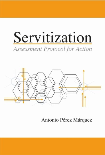 Servitization: Assessment Protocol for Action Business Expert Press