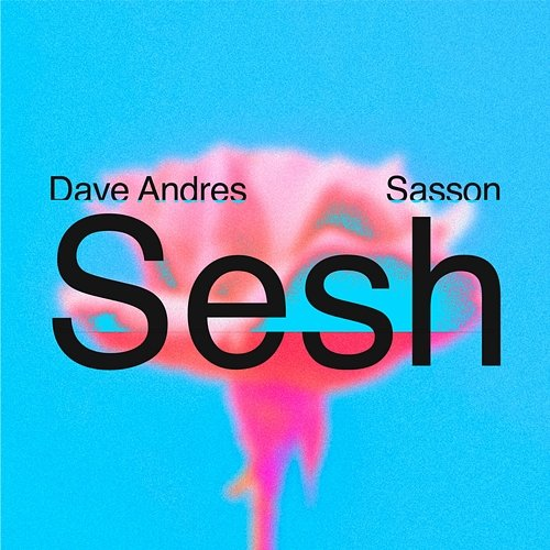 Sesh Dave Andres, Sasson (FR)