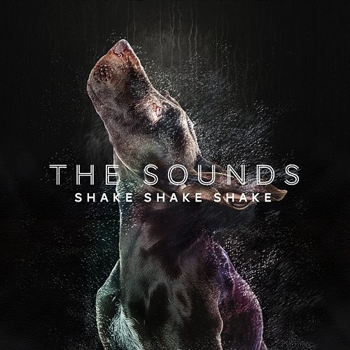 Shake Shake Shake The Sounds
