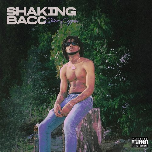 Shaking Bacc Chino