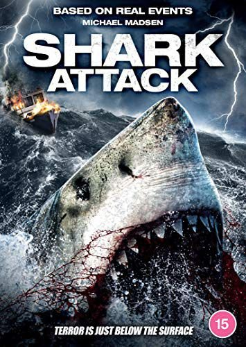 Shark Attack Cohn Jared
