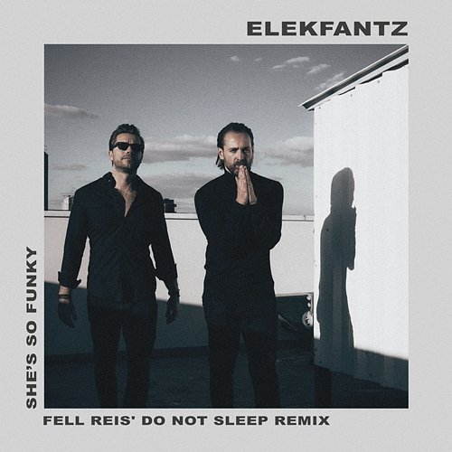 She's So Funky Elekfantz, Fell Reis