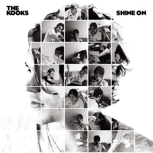 Shine On The Kooks