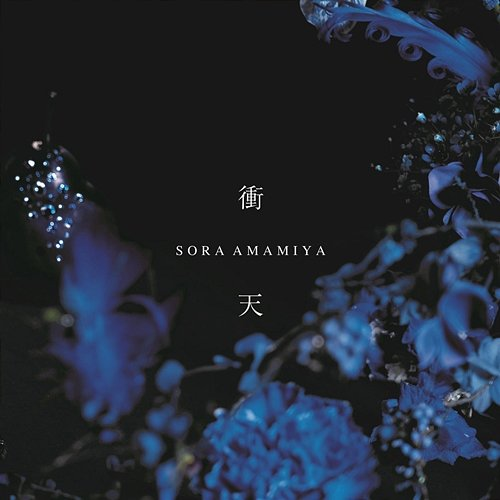 Shoten Sora Amamiya
