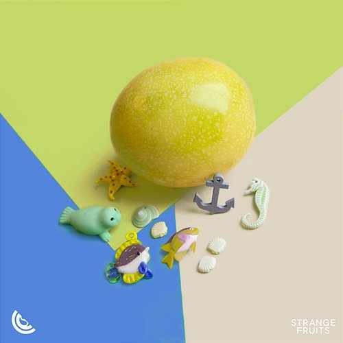 Shots Dance Fruits Music