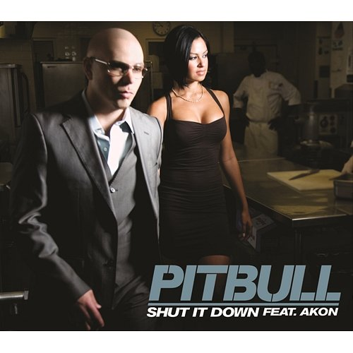 Shut It Down Pitbull
