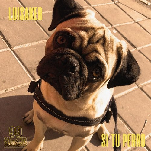 Si Tu Perro Luisaker & Ids Beats