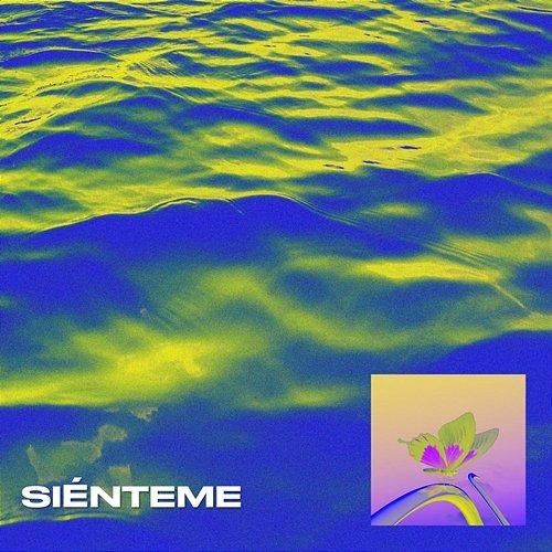 SIÉNTEME Manu Cort, Lionware