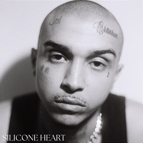 Silicone Heart Deyaz