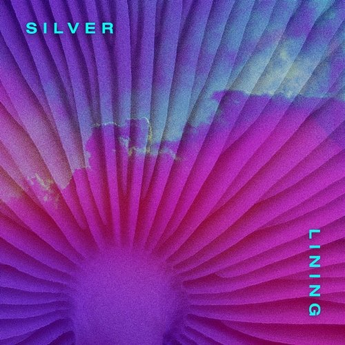Silver Lining New Bleach