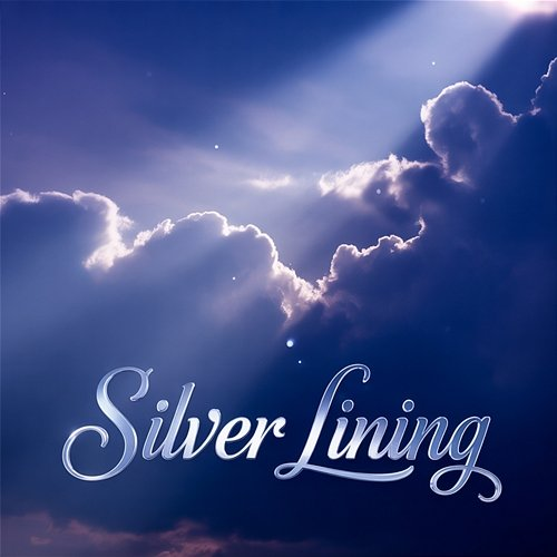 Silver Lining Bruce Sweenie