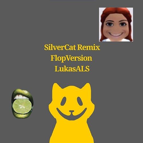 SilverCat Remix LukasALS & Jiafei