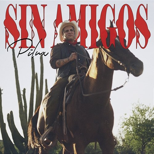 Sin Amigos Pilux