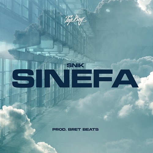 Sinefa Snik