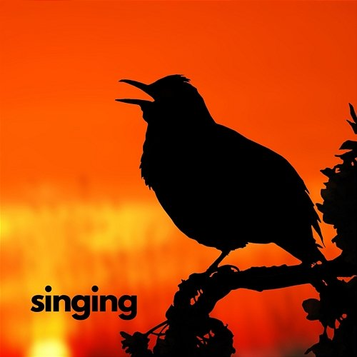 Singing Stardust at 432 Hz