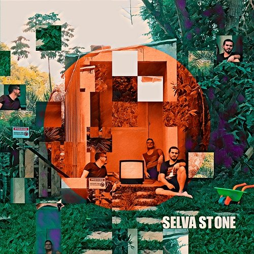 SINTOMAS SELVA STONE