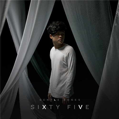 Sixty Five Gentle Bones