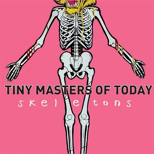 Skeletons Tiny Masters Of Today