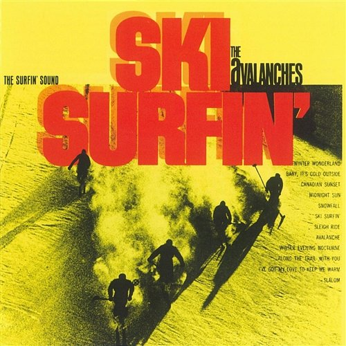 Ski Surfin' The Avalanches