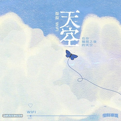 Sky WiFi YY