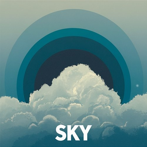 Sky Noiren Caze