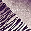 Sky Mirror Edward Yarbrough