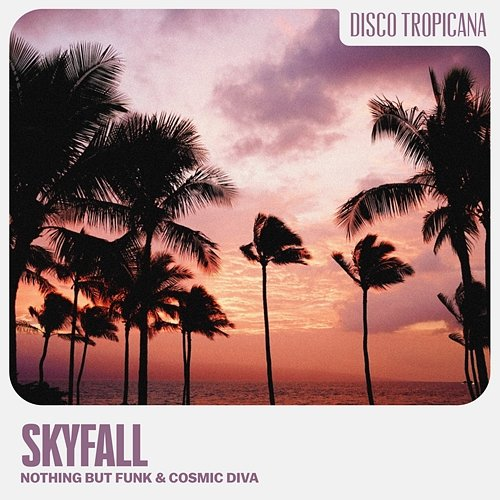 Skyfall Nothing But Funk & Cosmic Diva