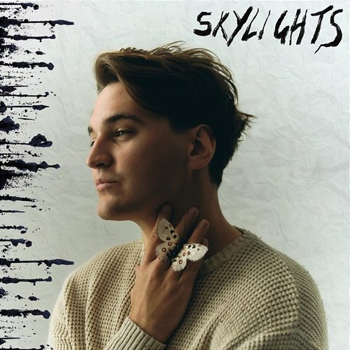 Skylights Will Blume