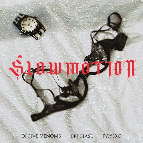 Slow Motion DJ Five Venoms, Bri Biase & Paysxo