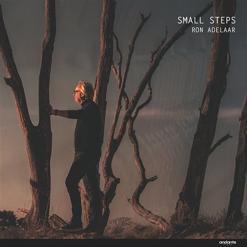 Small Steps Ron Adelaar