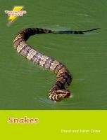 Snakes Orme David