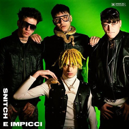 SNITCH E IMPICCI DrefGold, FSK SATELLITE
