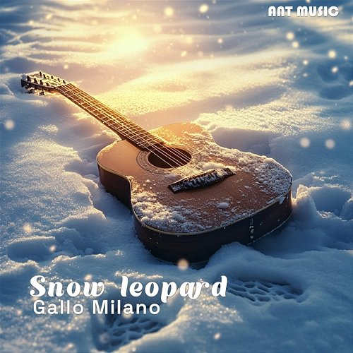 Snow Leopard Gallo Milano