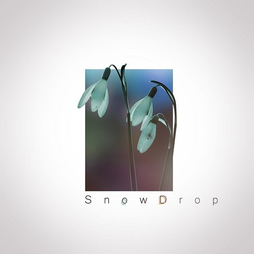 Snowdrop BabaKumpas