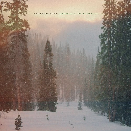 Snowfall in a Forest Jackson Love