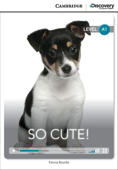 So Cute! Bourke Kenna