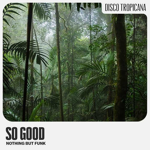 So Good Nothing But Funk