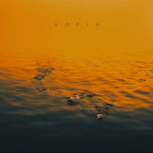 Sofia fiori d'artificio