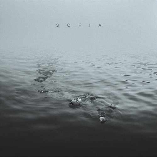 Sofia fiori d'artificio
