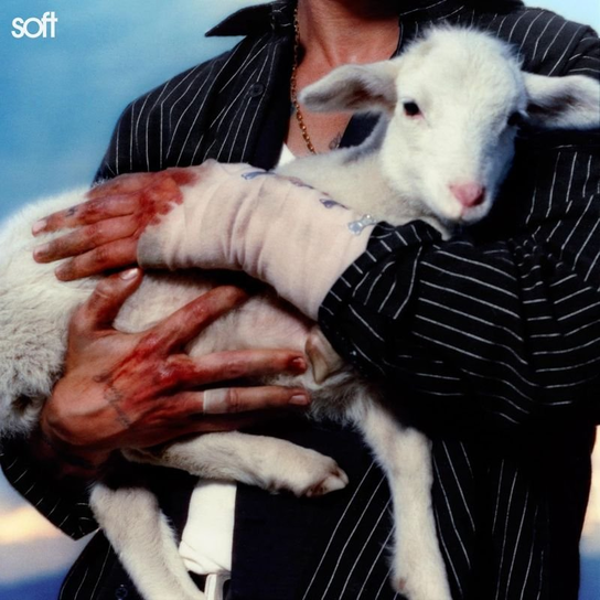 Soft LANY