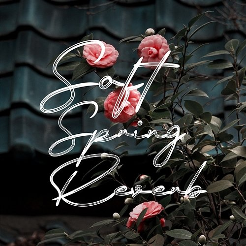 Soft Spring Reverb Sonix Ripley|{