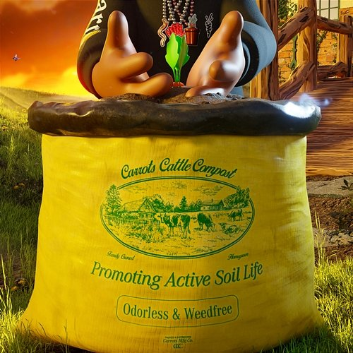 Soil Anwar Carrots